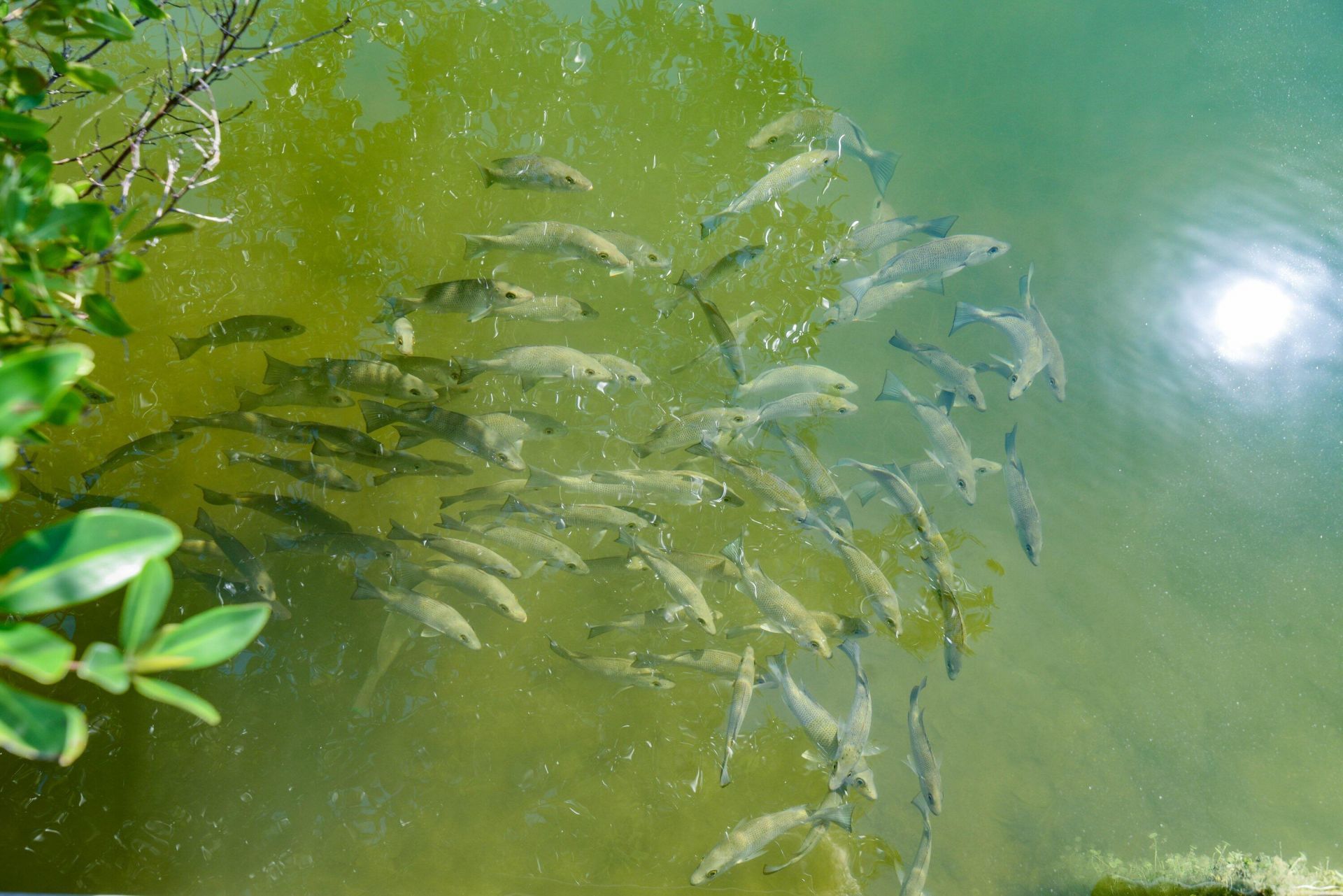 1422 Boca Chica Road, Geiger, FL 33040 Photo