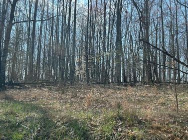 0 Cottontown Road, Forest, VA 24551