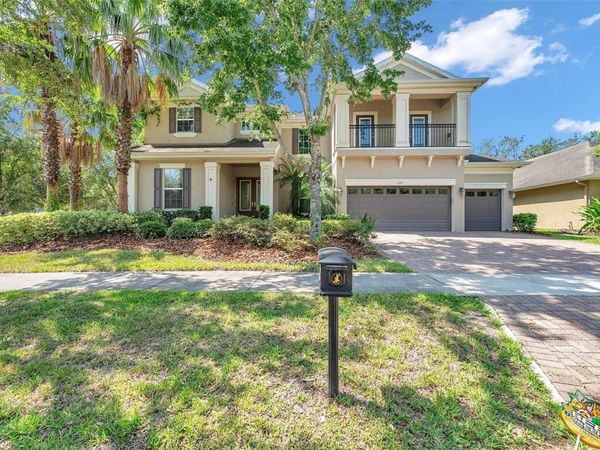5117 LONGSPUR COURT , LITHIA, FL 33547
