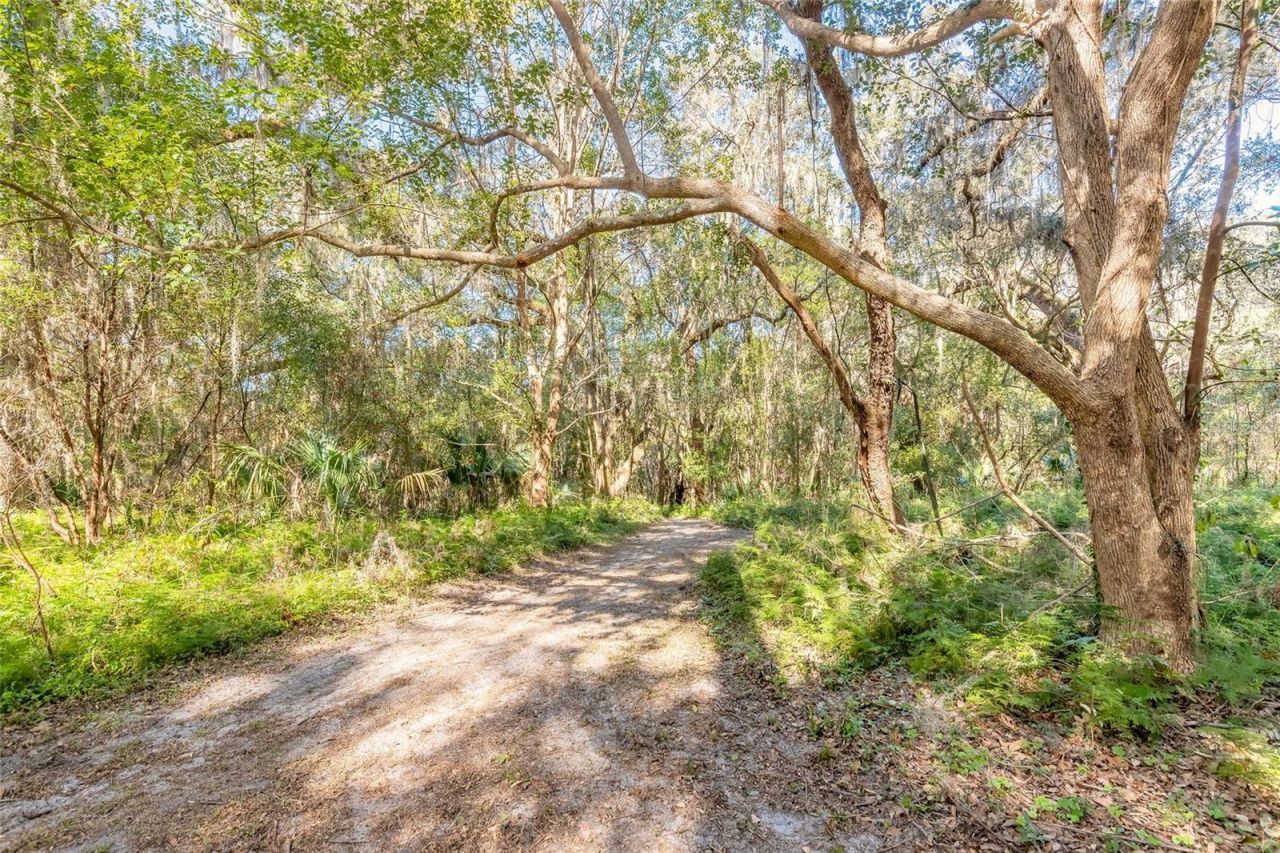 2090 & 2095 Stone Road, Deland, FL 32720 Photo