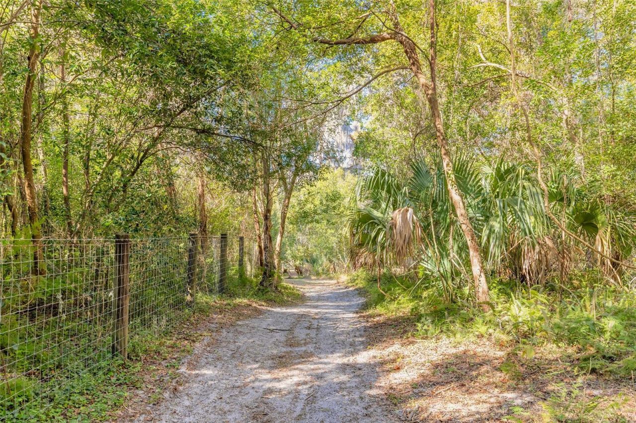 2090 & 2095 Stone Road, Deland, FL 32720 Photo