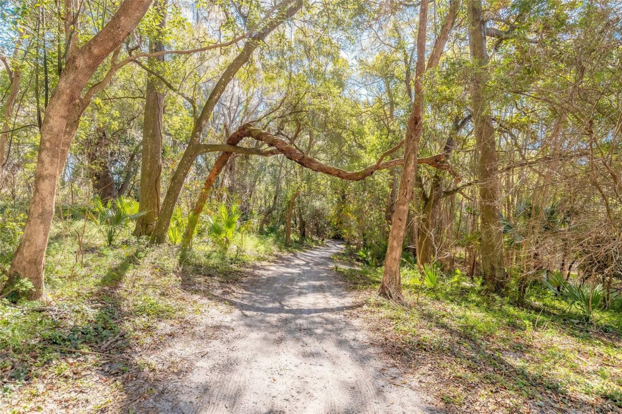 2090 & 2095 Stone Road, Deland, FL 32720 Photo