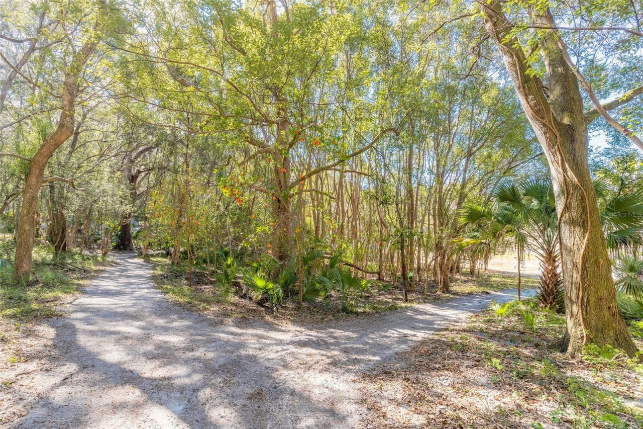 2090 & 2095 Stone Road, Deland, FL 32720 Photo