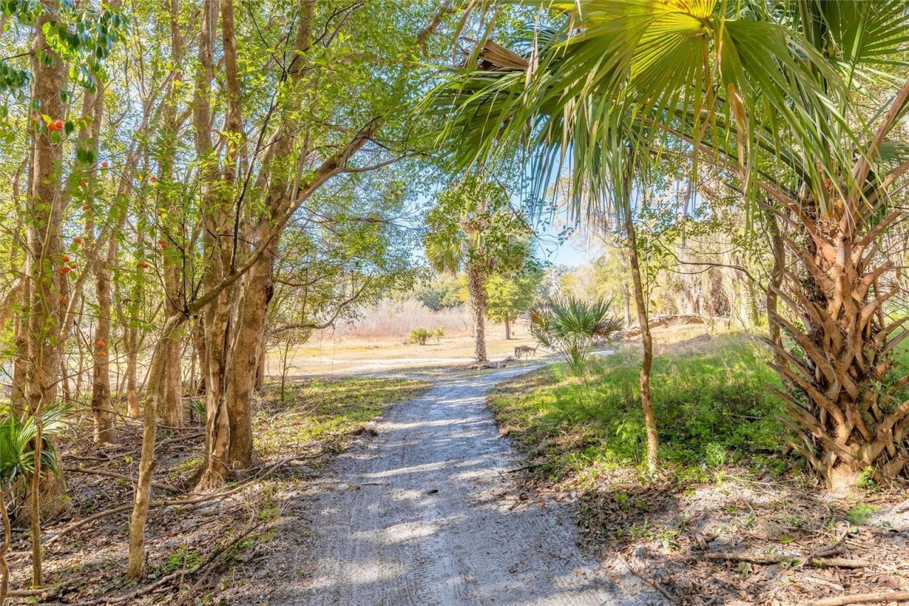 2090 & 2095 Stone Road, Deland, FL 32720 Photo