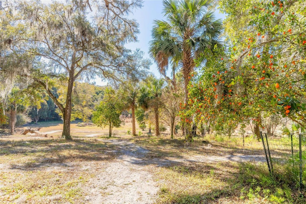 2090 & 2095 Stone Road, Deland, FL 32720 Photo