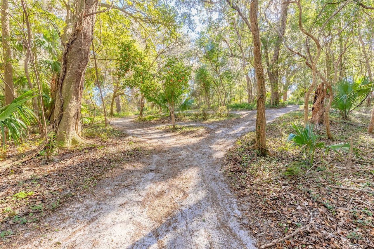 2090 & 2095 Stone Road, Deland, FL 32720 Photo