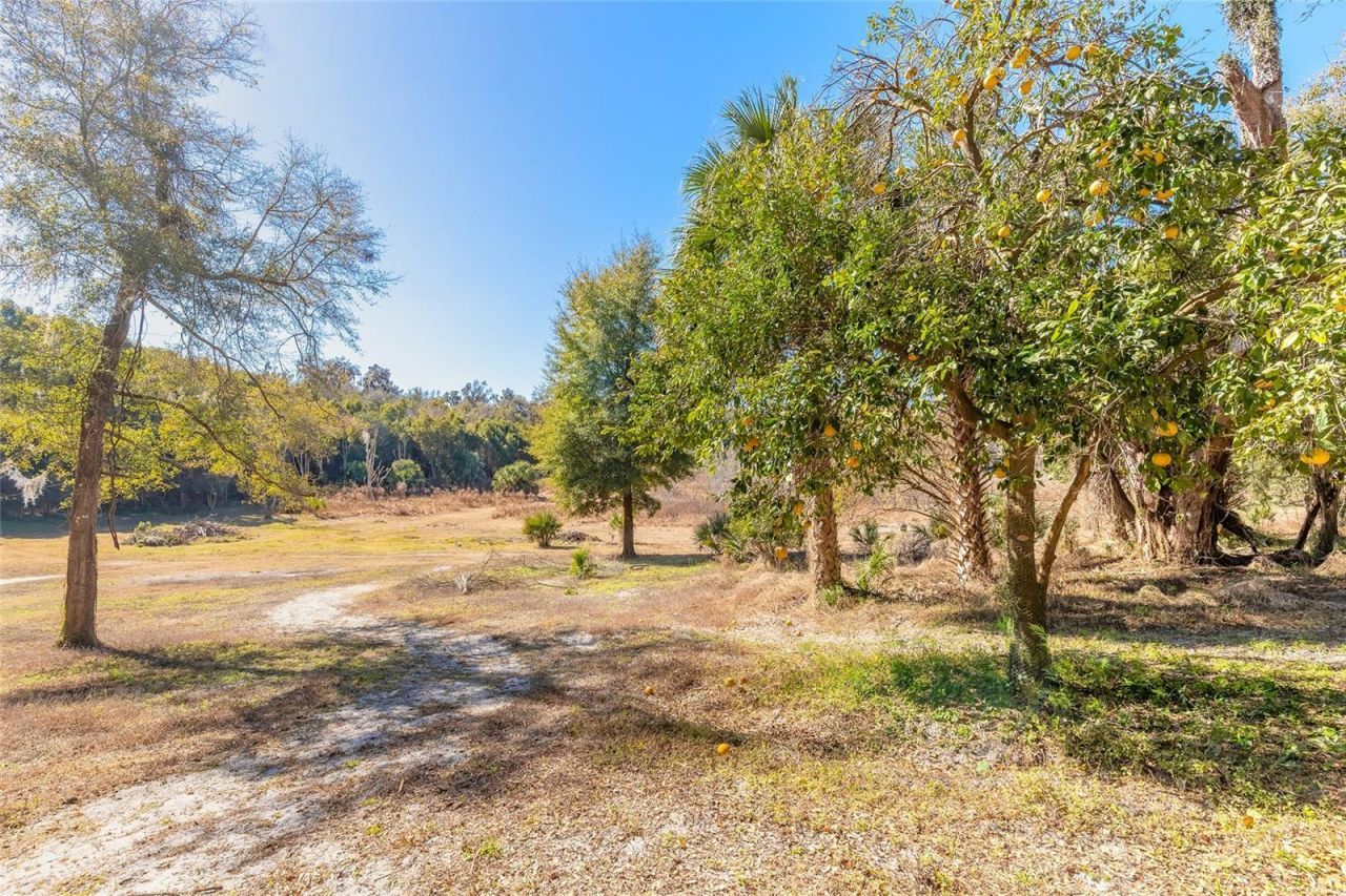 2090 & 2095 Stone Road, Deland, FL 32720 Photo