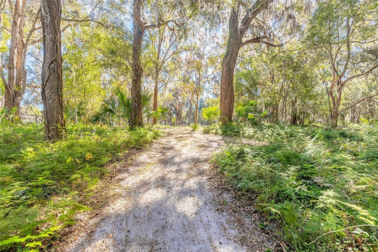 2090 & 2095 Stone Road, Deland, FL 32720 Photo