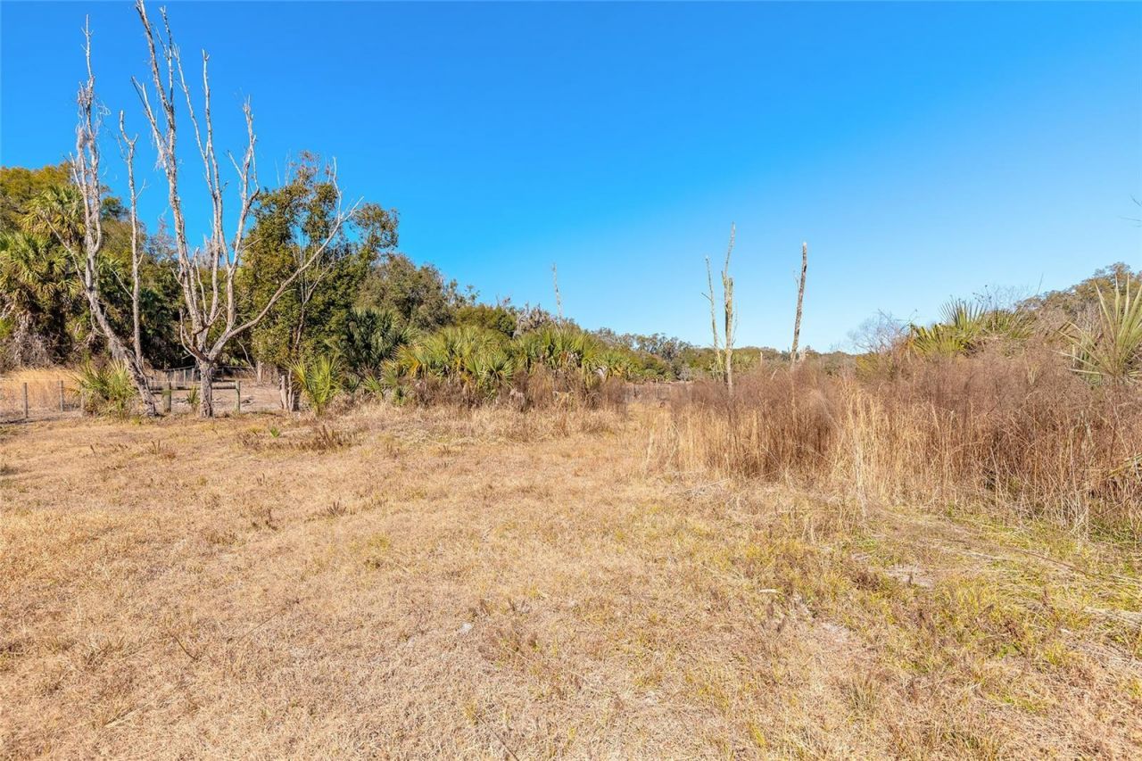 2090 & 2095 Stone Road, Deland, FL 32720 Photo