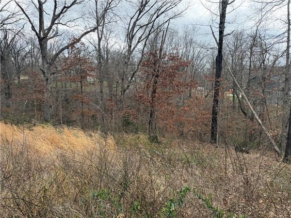 Ludborough Lane , Bella Vista, AR 72715