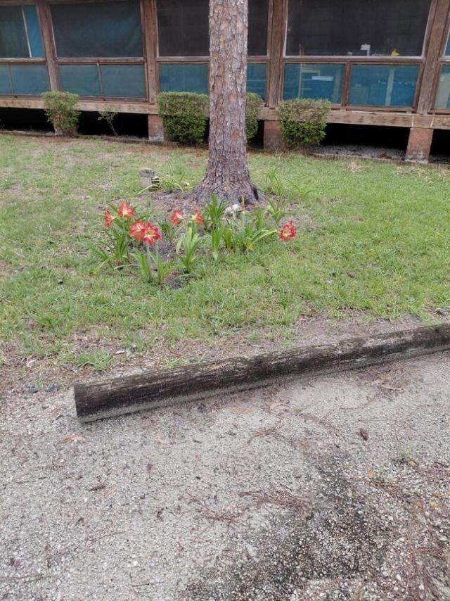 11615 Sunset Boulevard, The Acreage, FL 33411 Photo