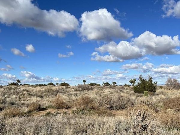 3033 Arcadia, Phelan, CA 92371