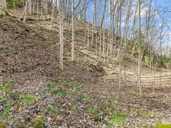 00 Lady Bug Lane W, Maggie Valley, NC 28751