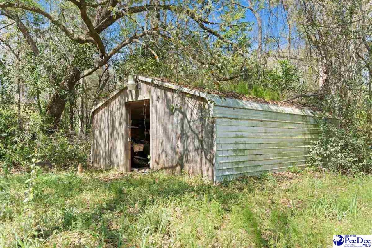 307 Madison Ave Photo 14