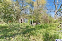 307 Madison Ave photo 4