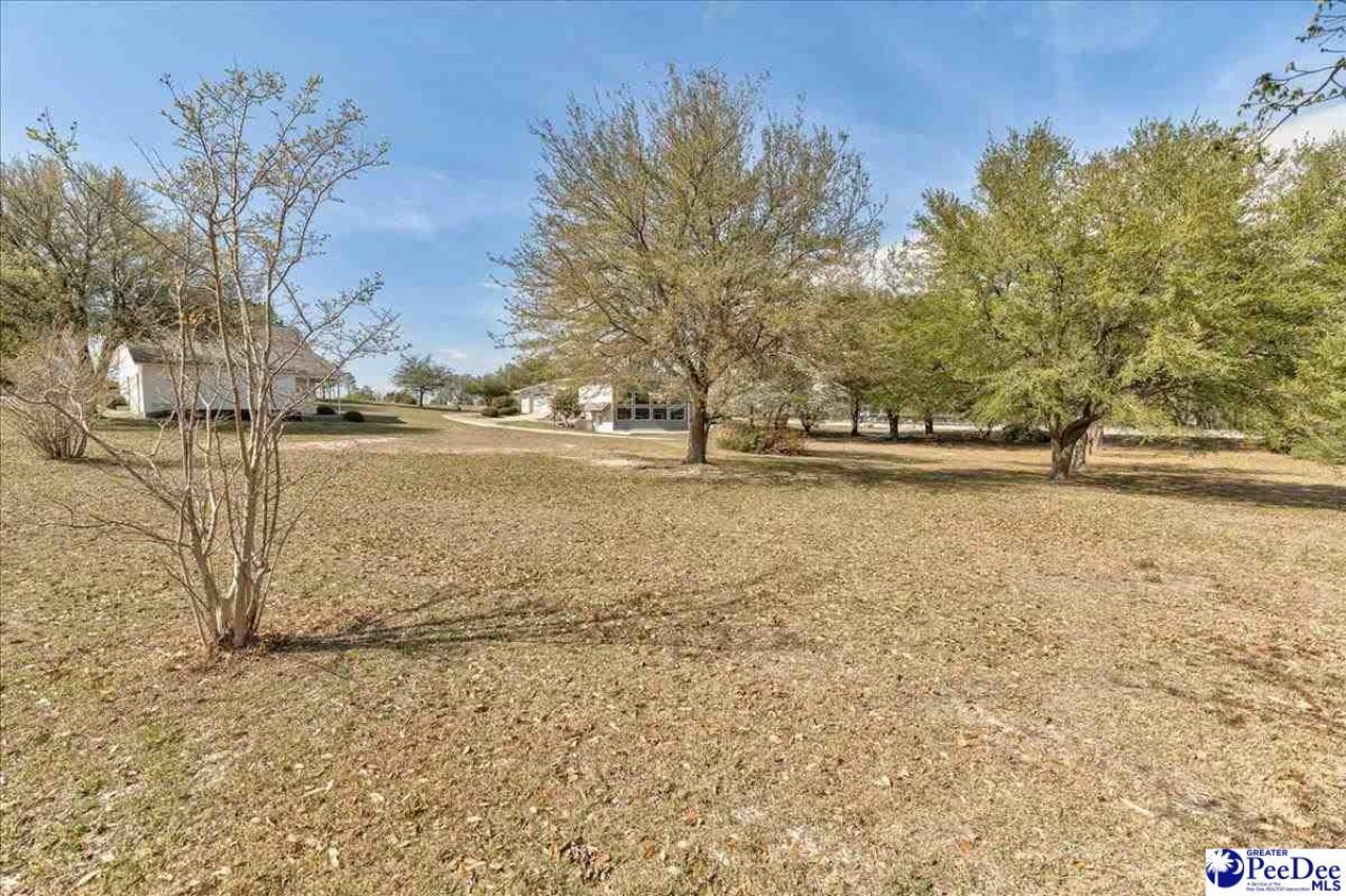 25560 Hwy 151 Photo 56