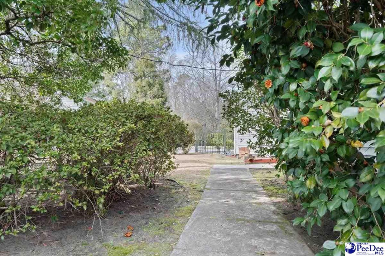 310 Kershaw St Photo 66