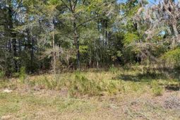 --- Old No 4 Hwy photo 4