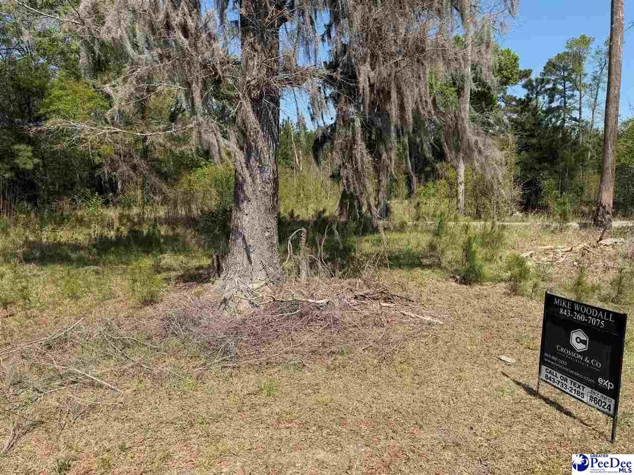 --- Old No 4 Hwy Photo 4