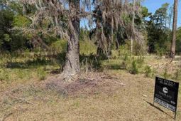 --- Old No 4 Hwy photo 4