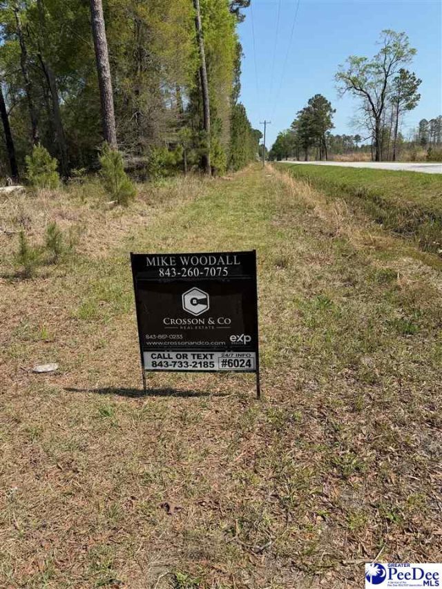 --- Old No 4 Hwy Photo 5