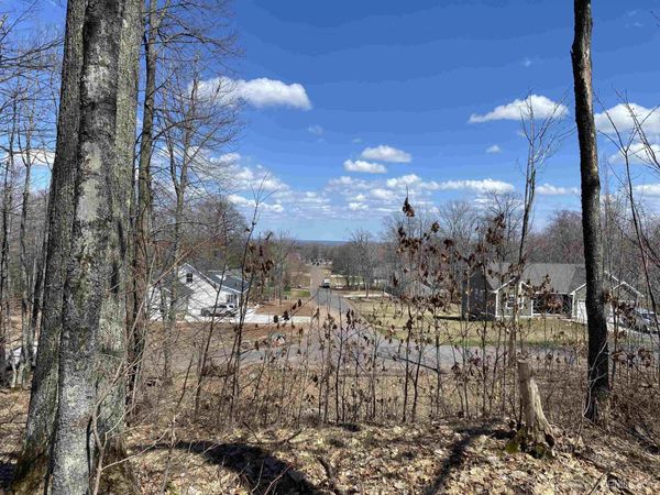 TBD Lot 23 S Whealkate Drive, Adams Twp, MI 49963