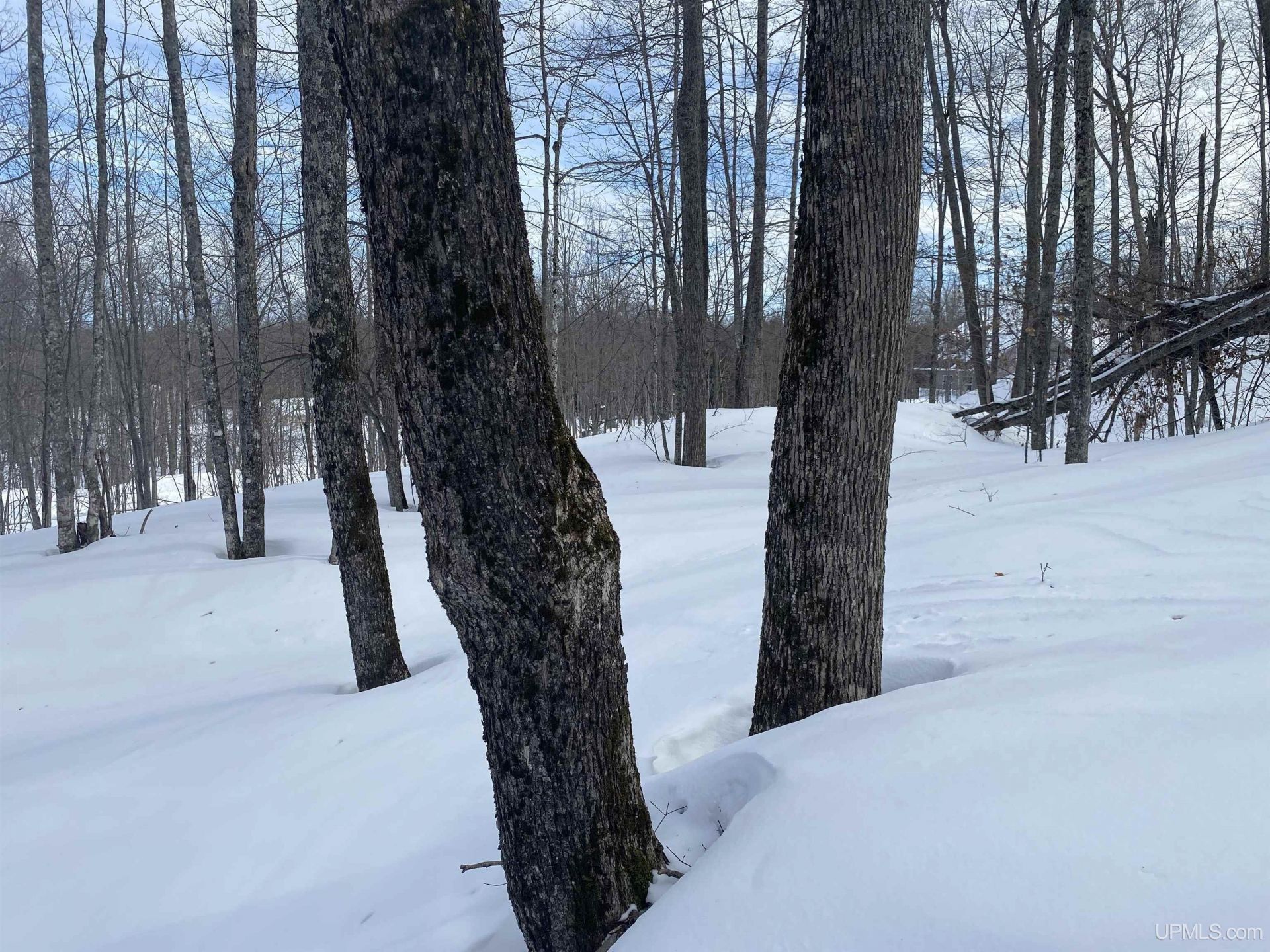 Tbd Lot 24 S Whealkate Drive, Adams Twp, MI 49963 Main Photo