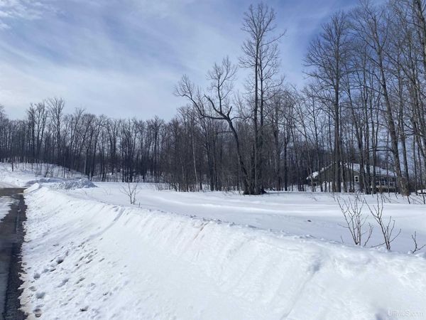 TBD Lot 28 S Whealkate Drive, Adams Twp, MI 49963