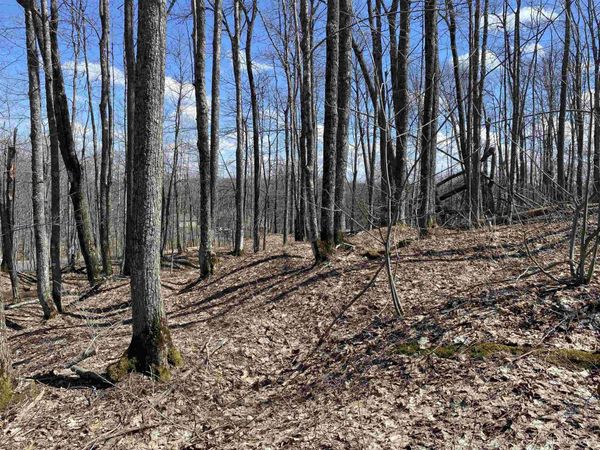 TBD Lot 29 S Whealkate Drive, Adams Twp, MI 49963