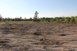 00 Brentwood Drive photo 4