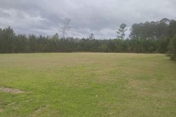 02 Davis Terrace photo 4