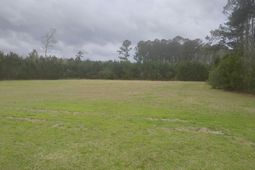 02 Davis Terrace photo 4