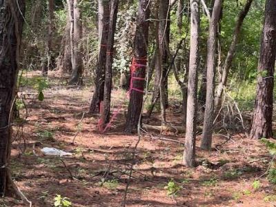 0 Lucys Lane, Mount Pleasant, SC 29466