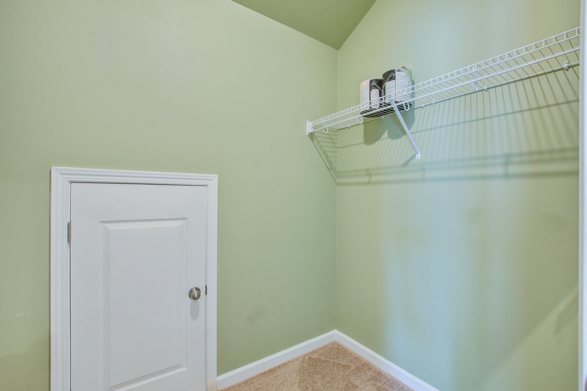 424 Water Orchid Way Photo 23