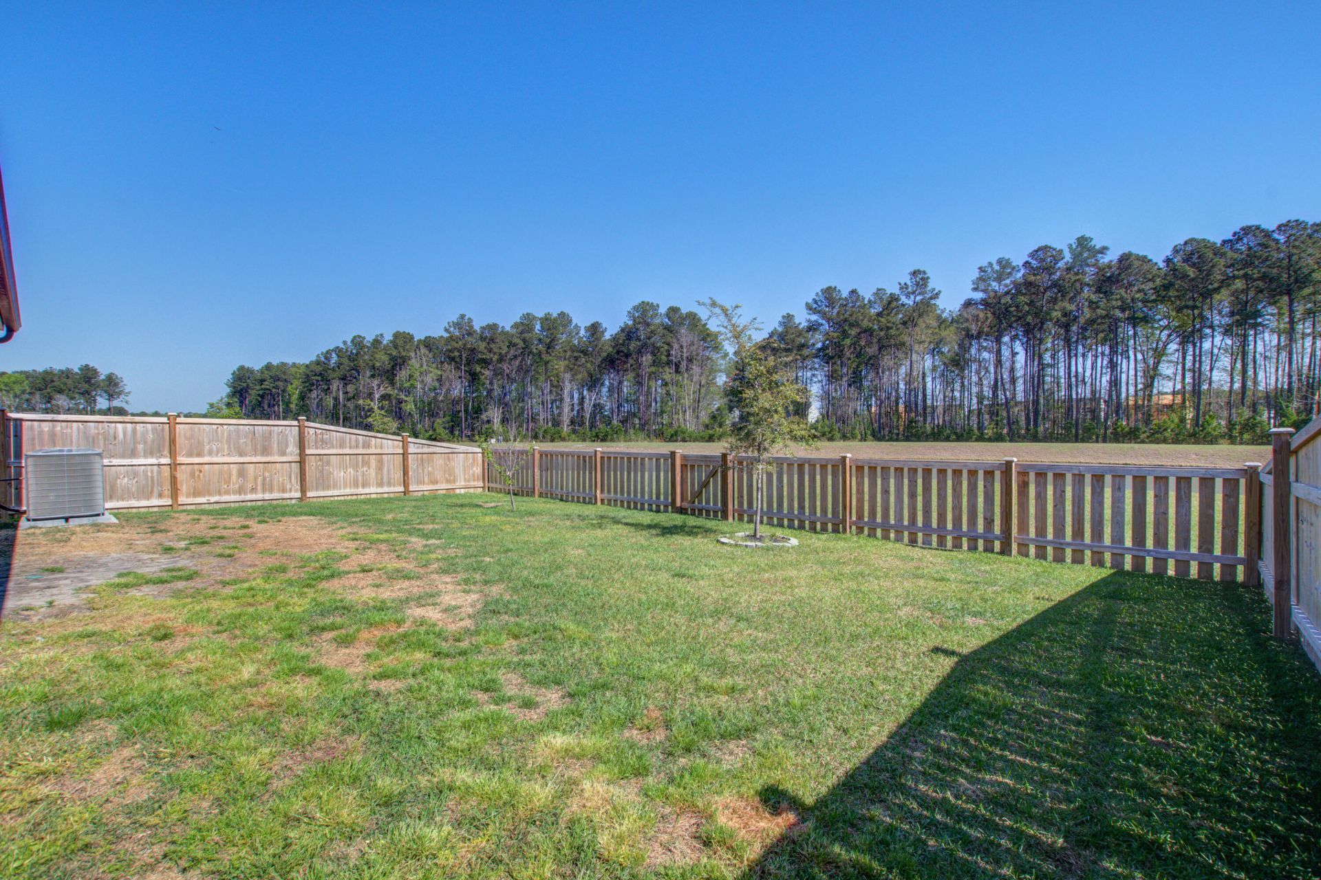 424 Water Orchid Way Photo 28
