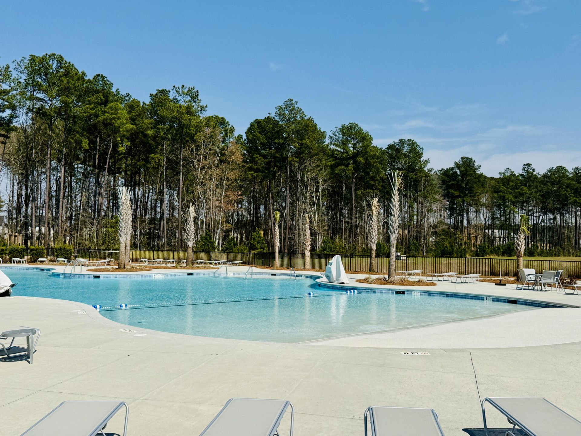 424 Water Orchid Way Photo 4
