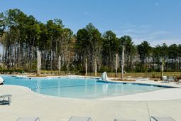 424 Water Orchid Way photo 4