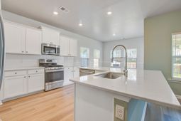 424 Water Orchid Way photo 4