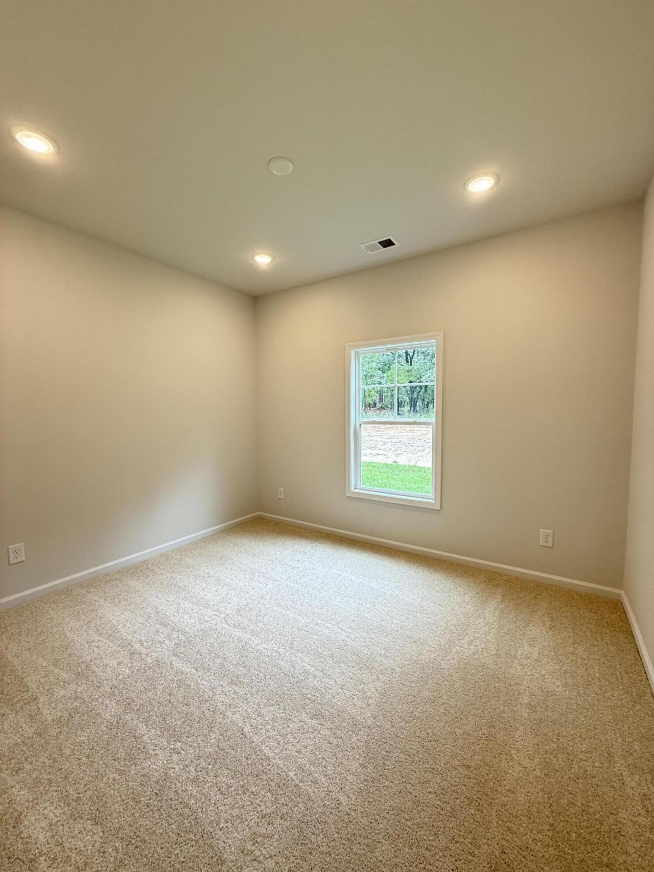 225 Trotter Lane Photo 12