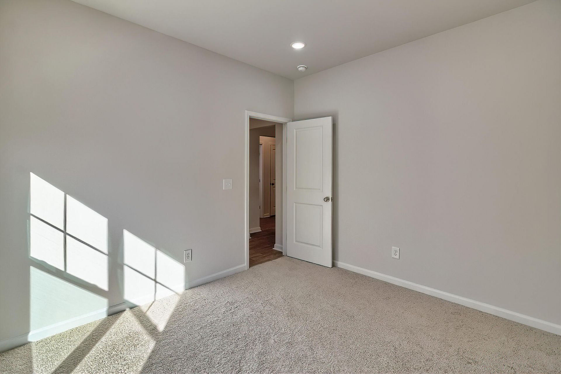 225 Trotter Lane Photo 8