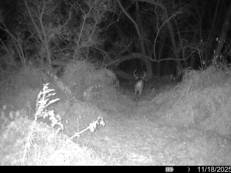 1114 State Route 314, Centerburg, OH 43011 Photo 55