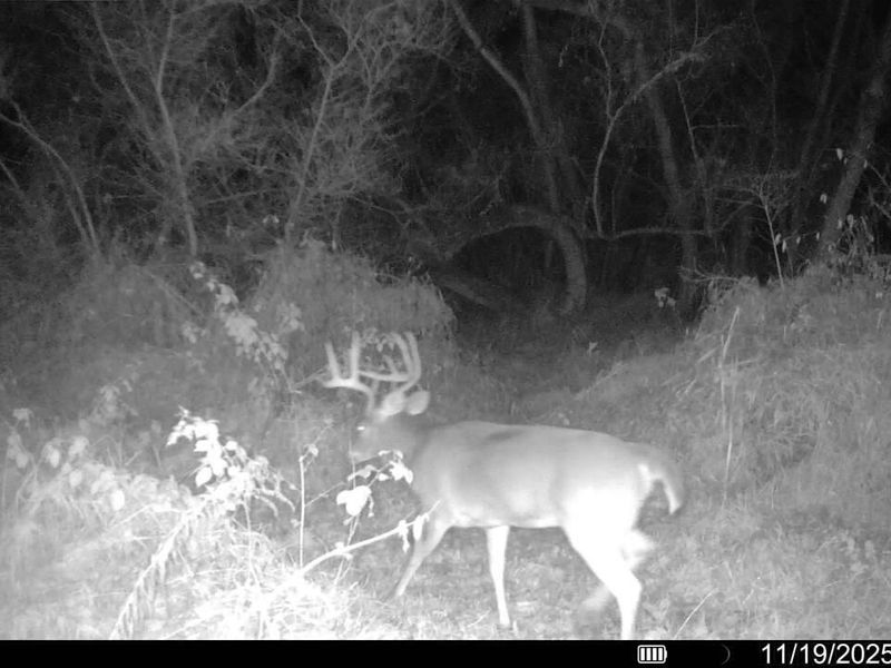 1114 State Route 314, Centerburg, OH 43011 Photo 56