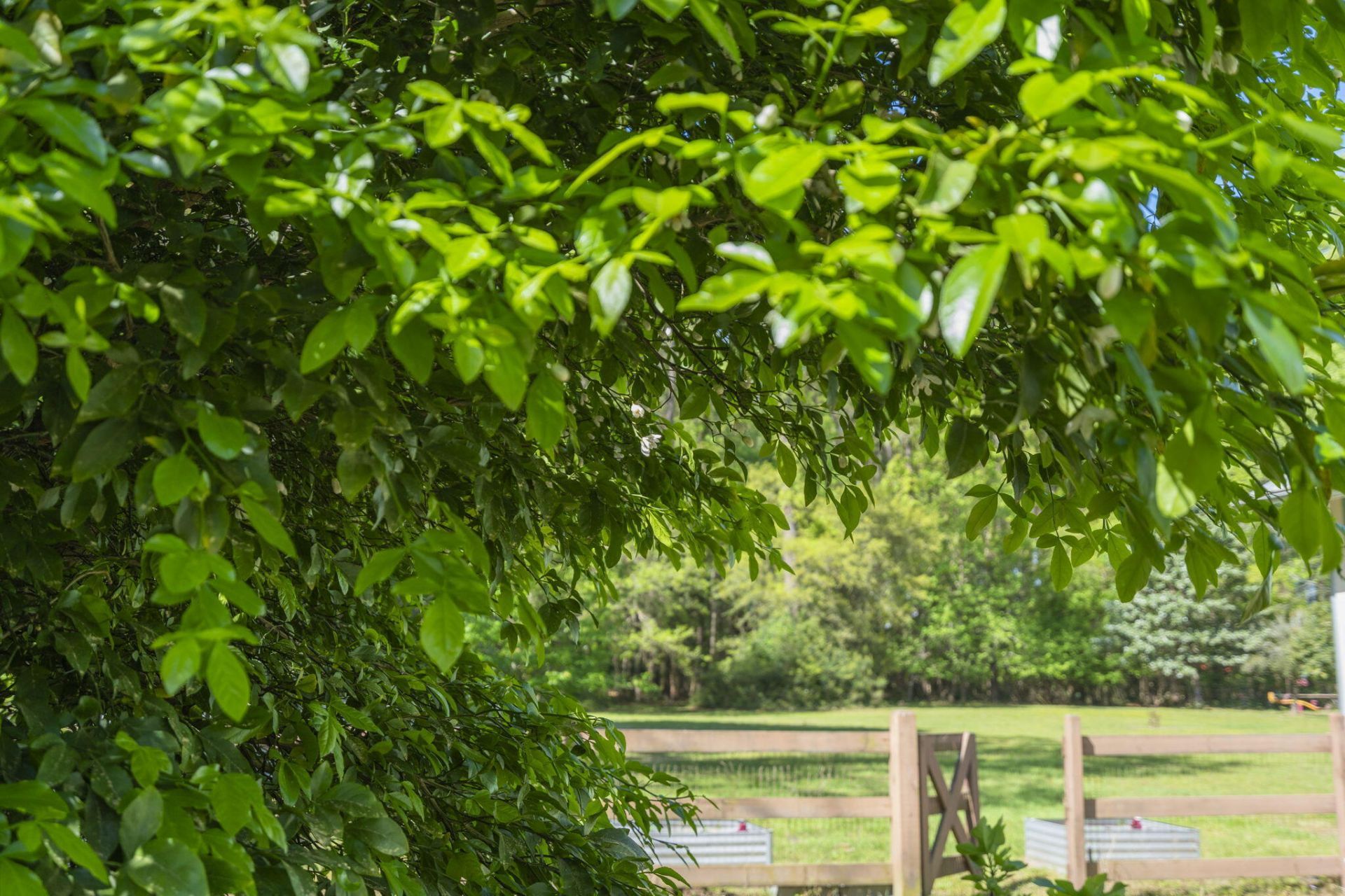 4317 Highway 165 Photo 13