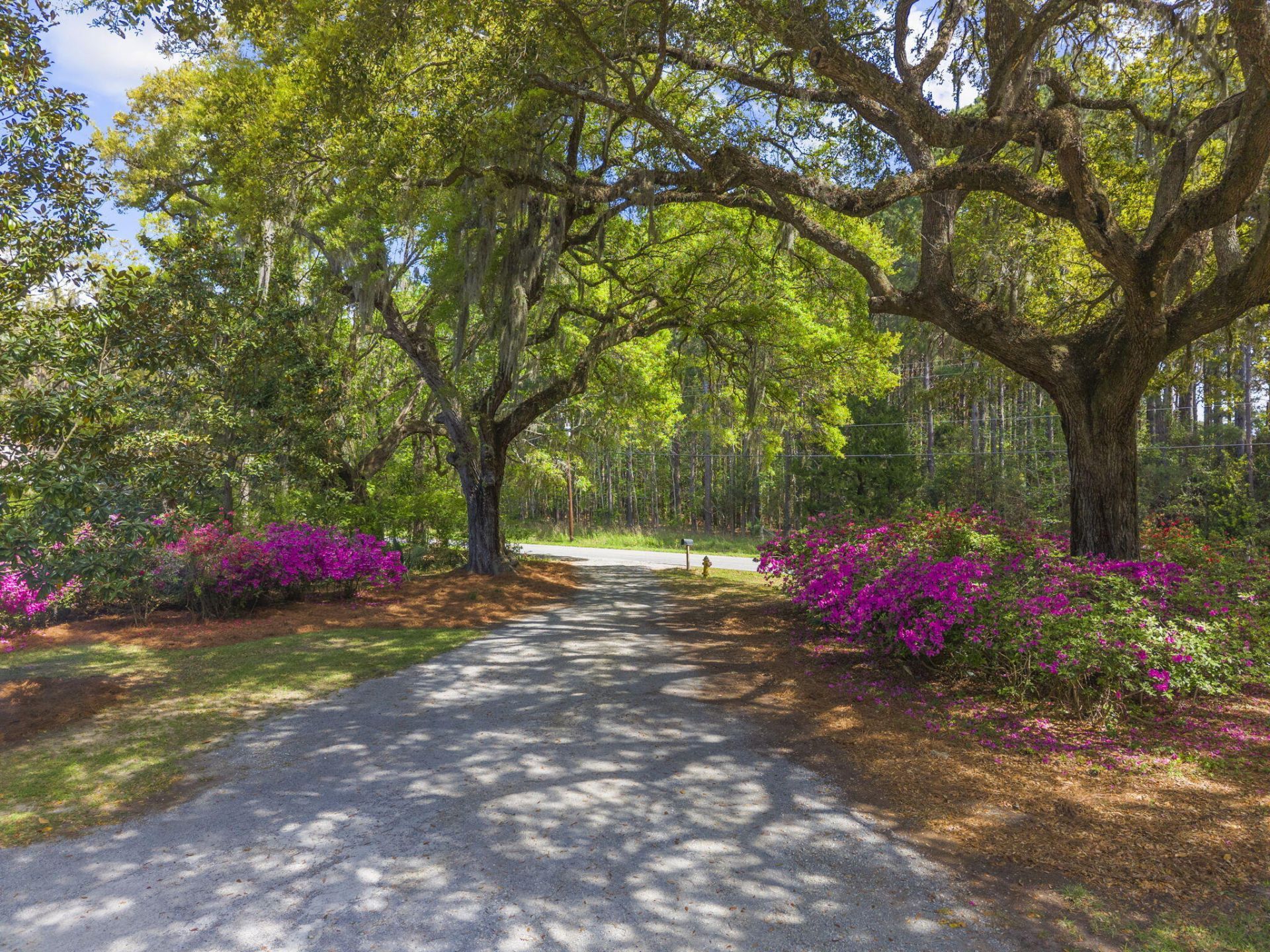 4317 Highway 165 Photo 67