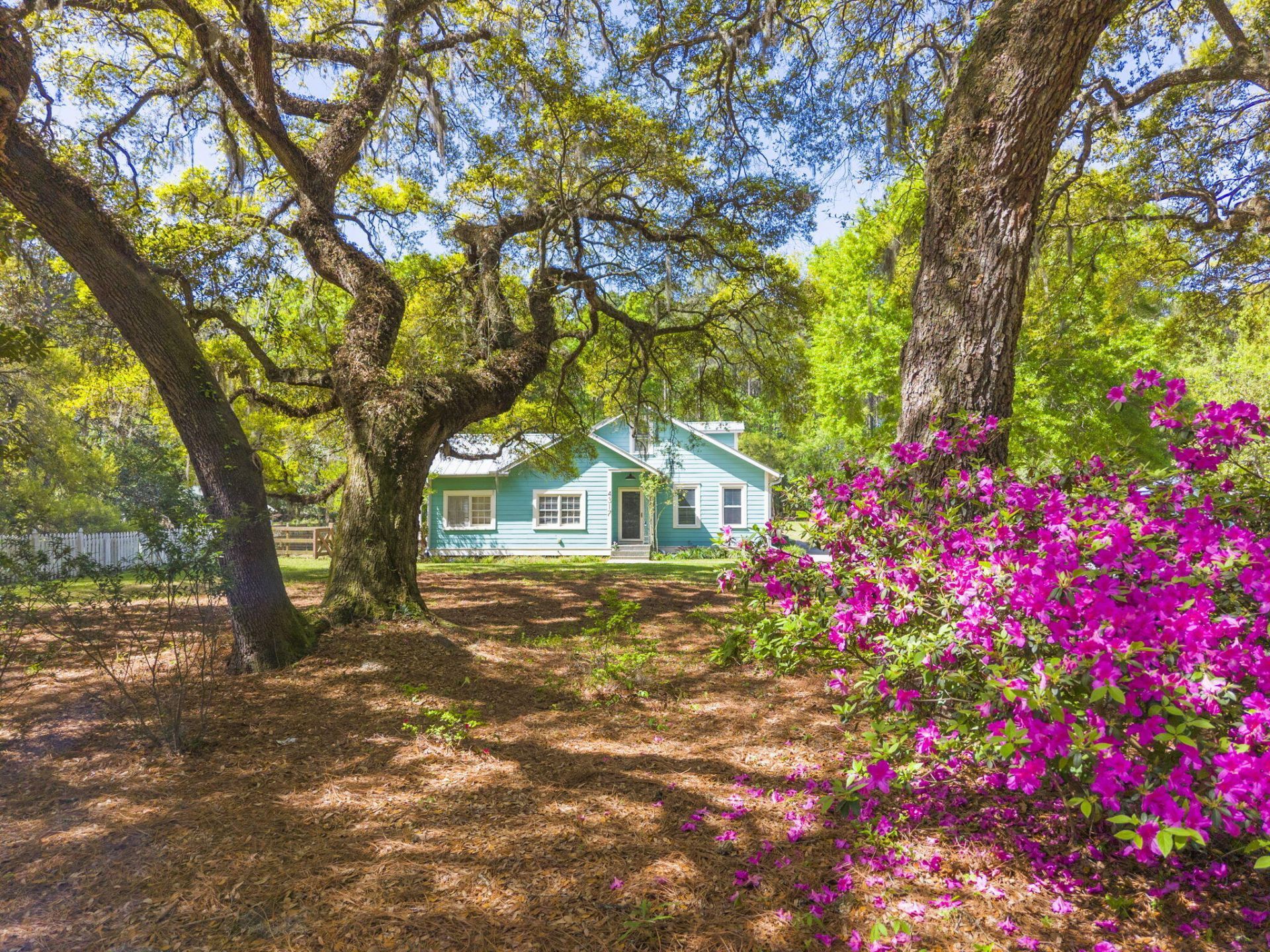 4317 Highway 165 Photo 68