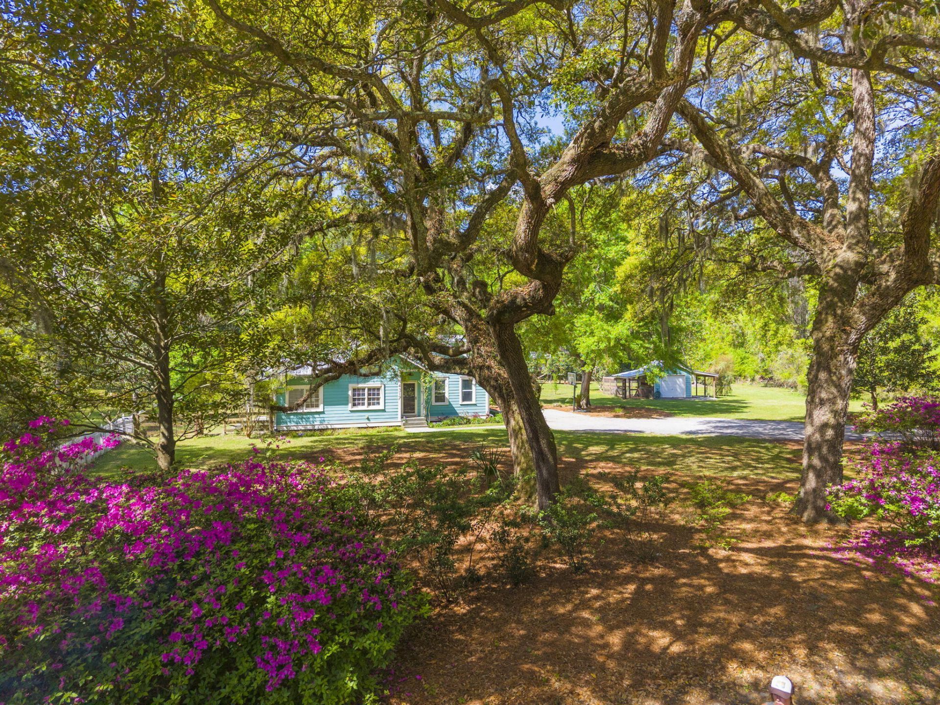 4317 Highway 165 Photo 69