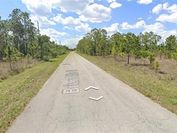 1163 Briarcliffe ST , FORT MYERS, FL 33913