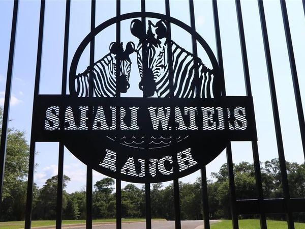 7413 Quail Hollow Court, Larue, TX 75770