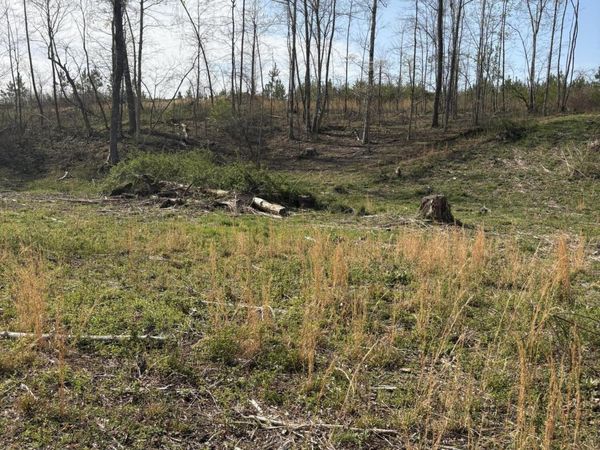 706 Arwine Rd, Decatur, TN 37322