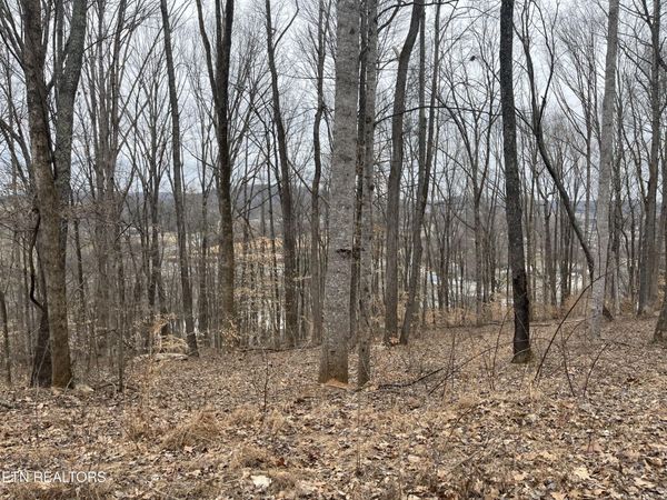 147 Chestnut Hill Rd, Livingston, TN 38570